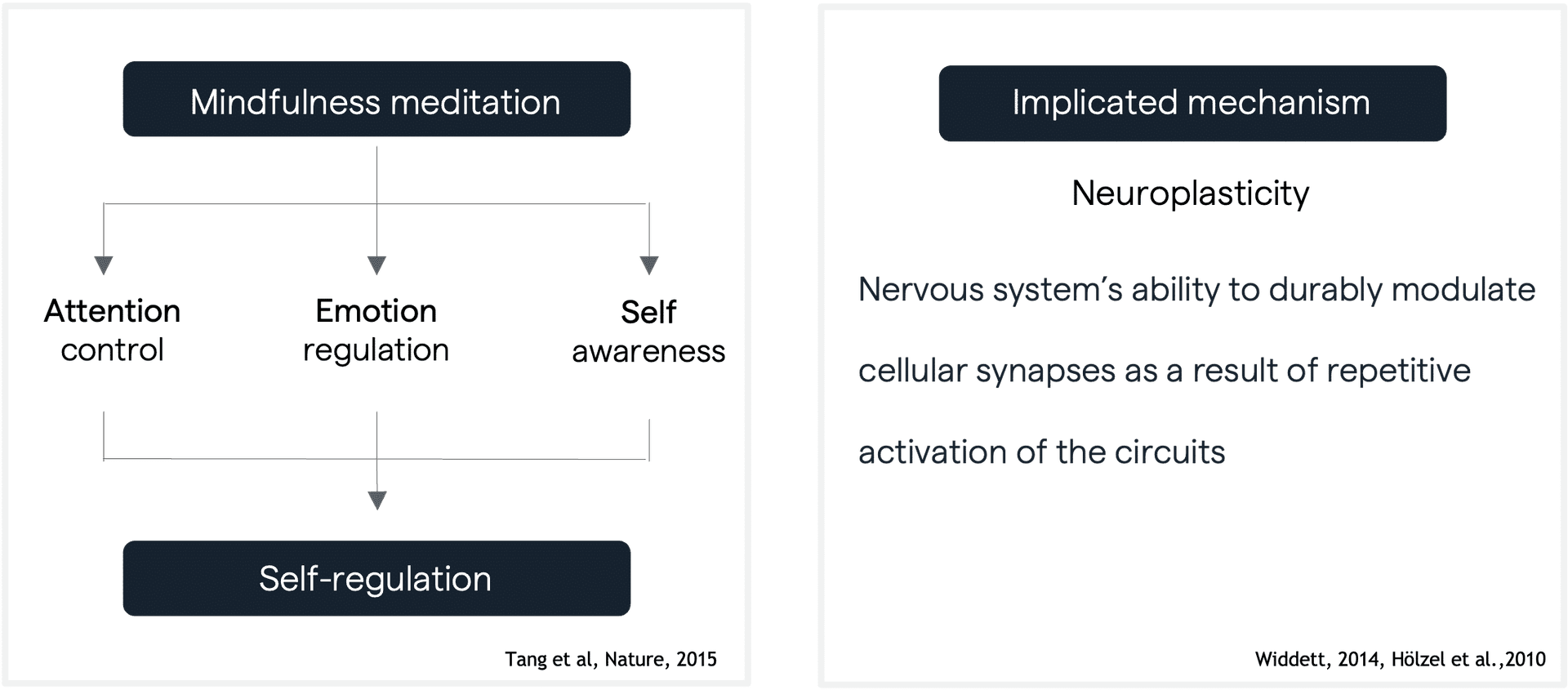 Implicated mechanisms of mindfulness meditation